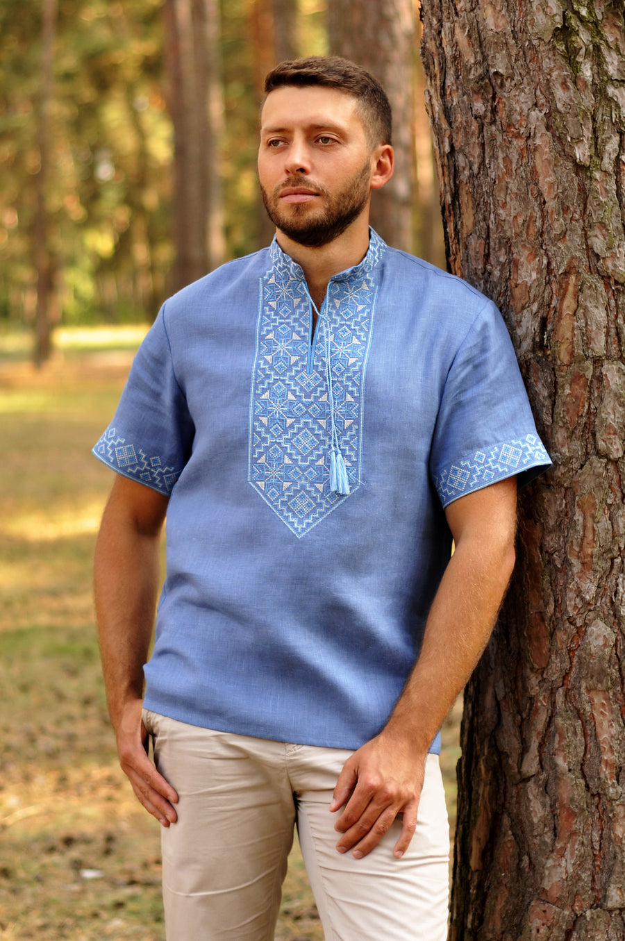 Embroidered short sleeve linen blue shirt
